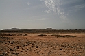 Kanary_2010 110